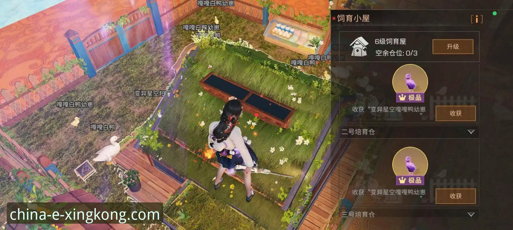 星空中国游戏下载 如何安全高效地完成星空中国游戏下载?资深用户分享一站式攻略